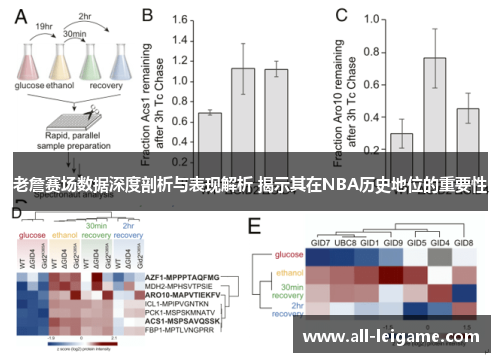 老詹赛场数据深度剖析与表现解析 揭示其在NBA历史地位的重要性