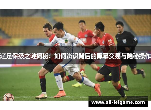 辽足保级之谜揭秘：如何辨识背后的黑幕交易与隐秘操作