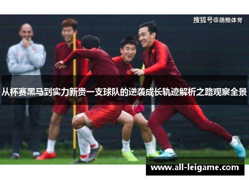 从杯赛黑马到实力新贵一支球队的逆袭成长轨迹解析之路观察全景